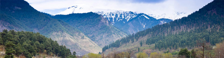 Shimla Manali Tour