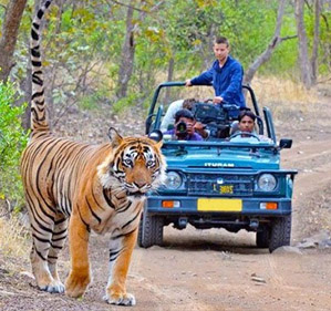 Ranthambore Tour Package